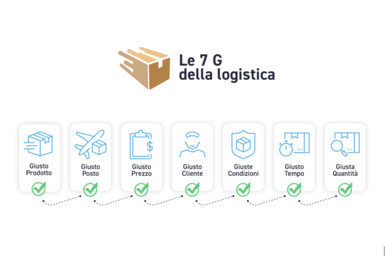 7-g-logistica